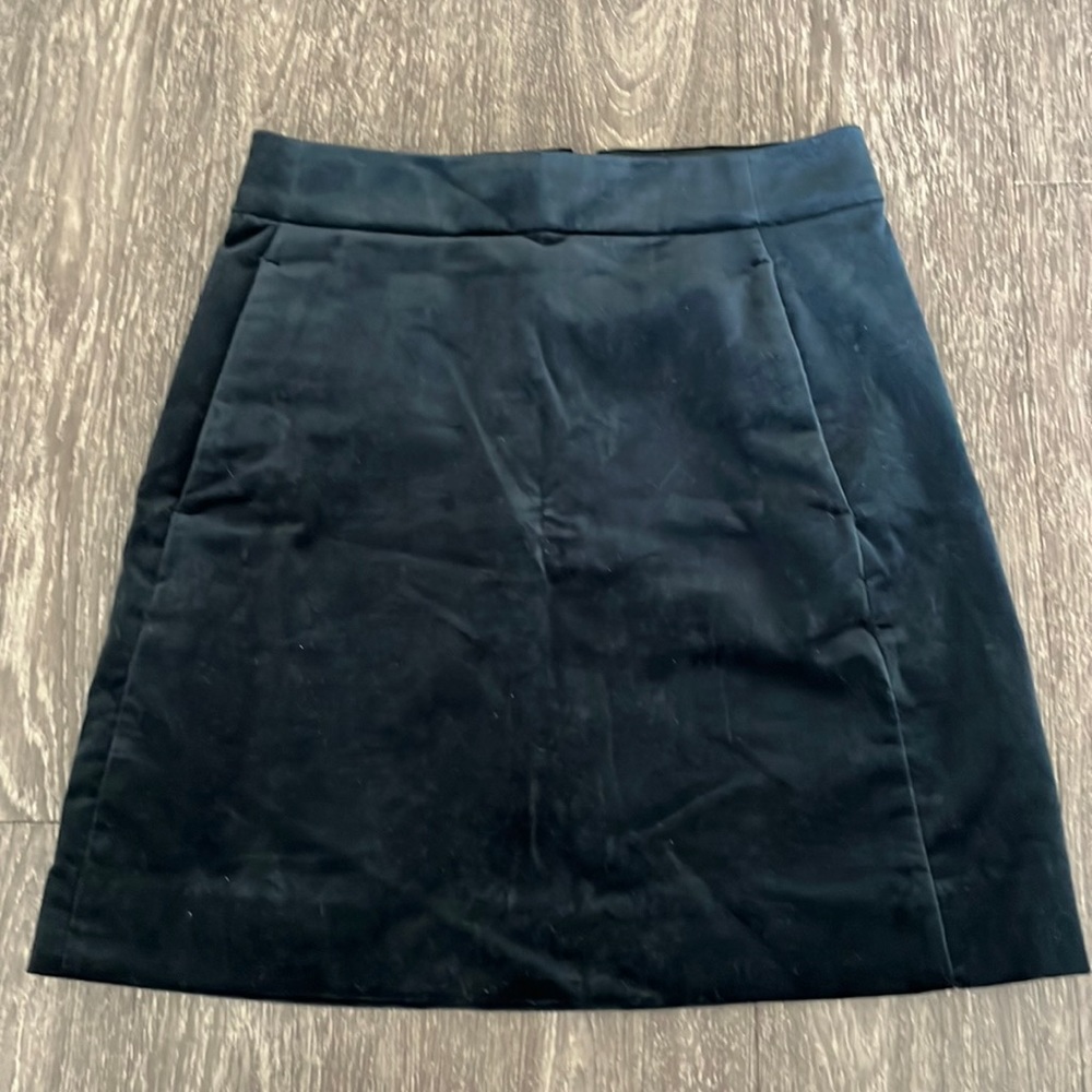 NEW felt J Crew skirt